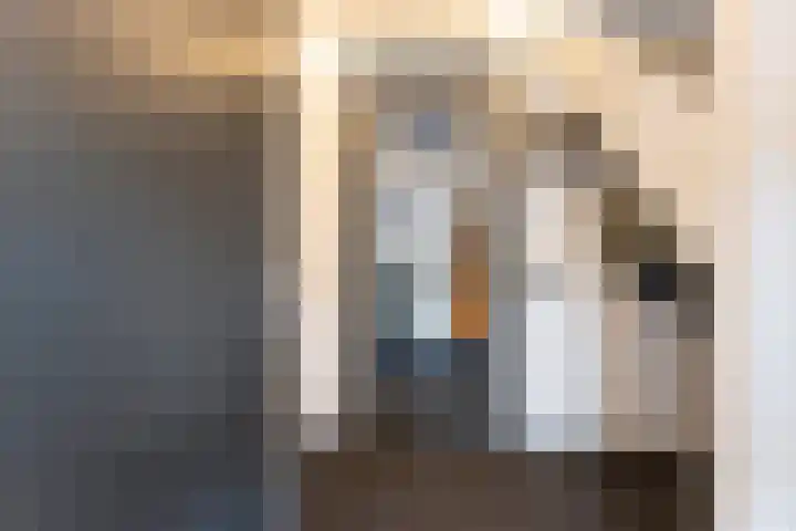 Bronforelstraat 69 Hengelo thumbnail 9