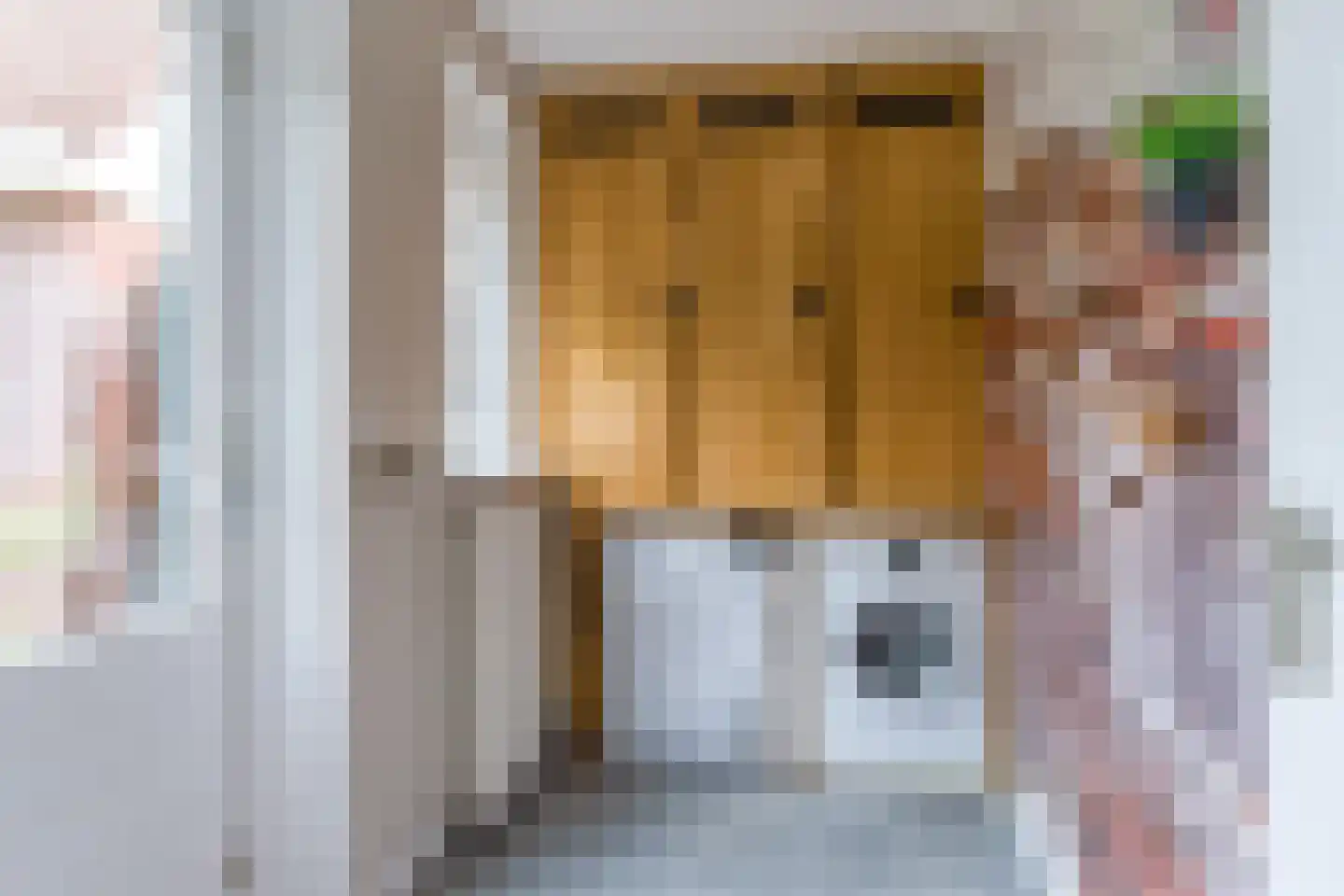 Brongersmastrjitte 1 De Westereen thumbnail 18