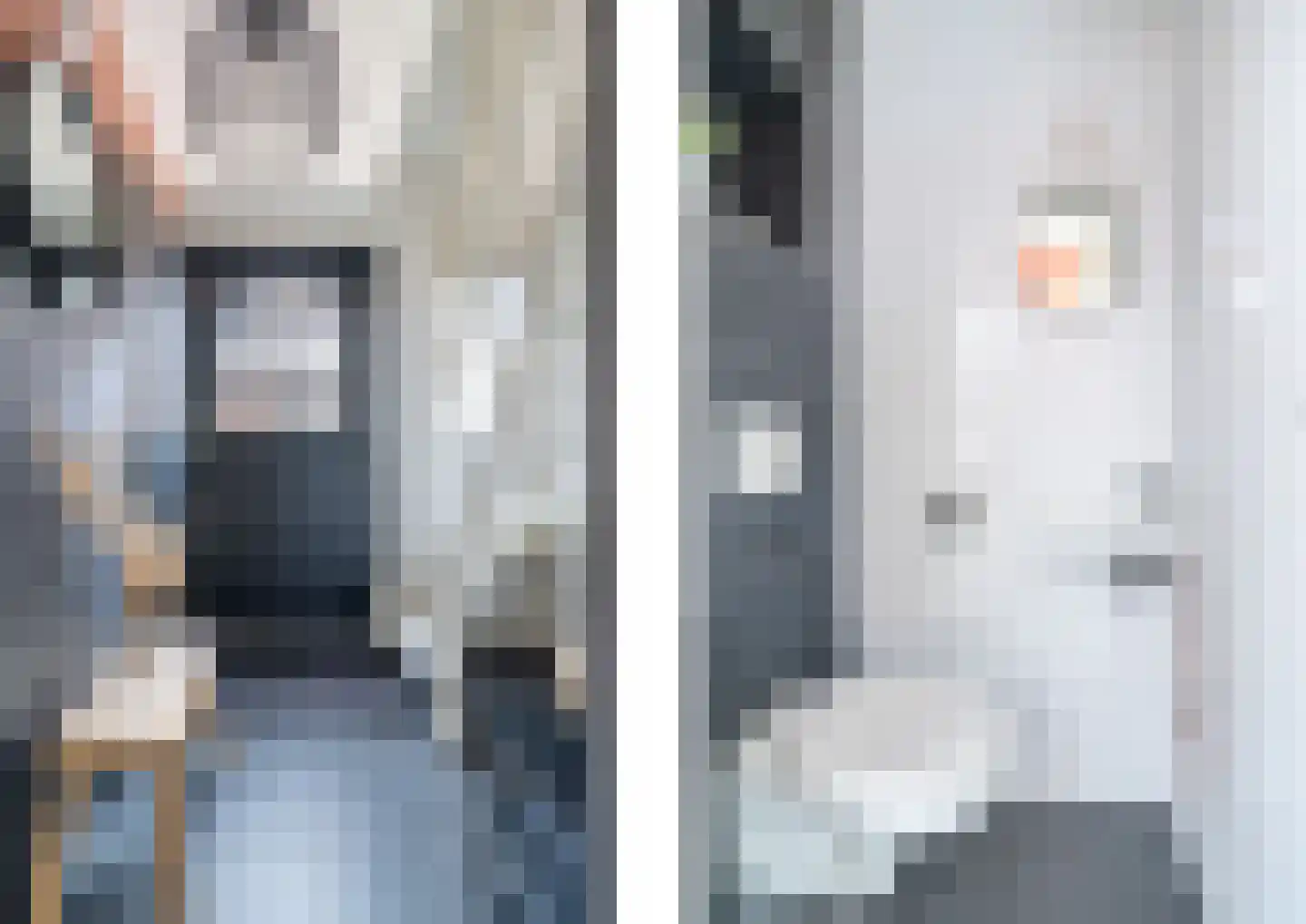 Brongersmastrjitte 1 De Westereen thumbnail 22