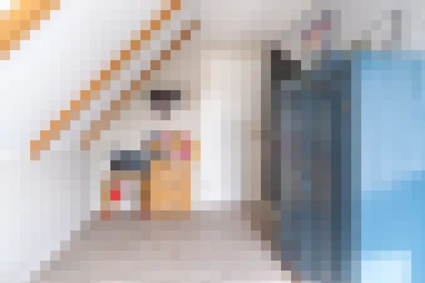 Brongersmastrjitte 1 De Westereen thumbnail 29