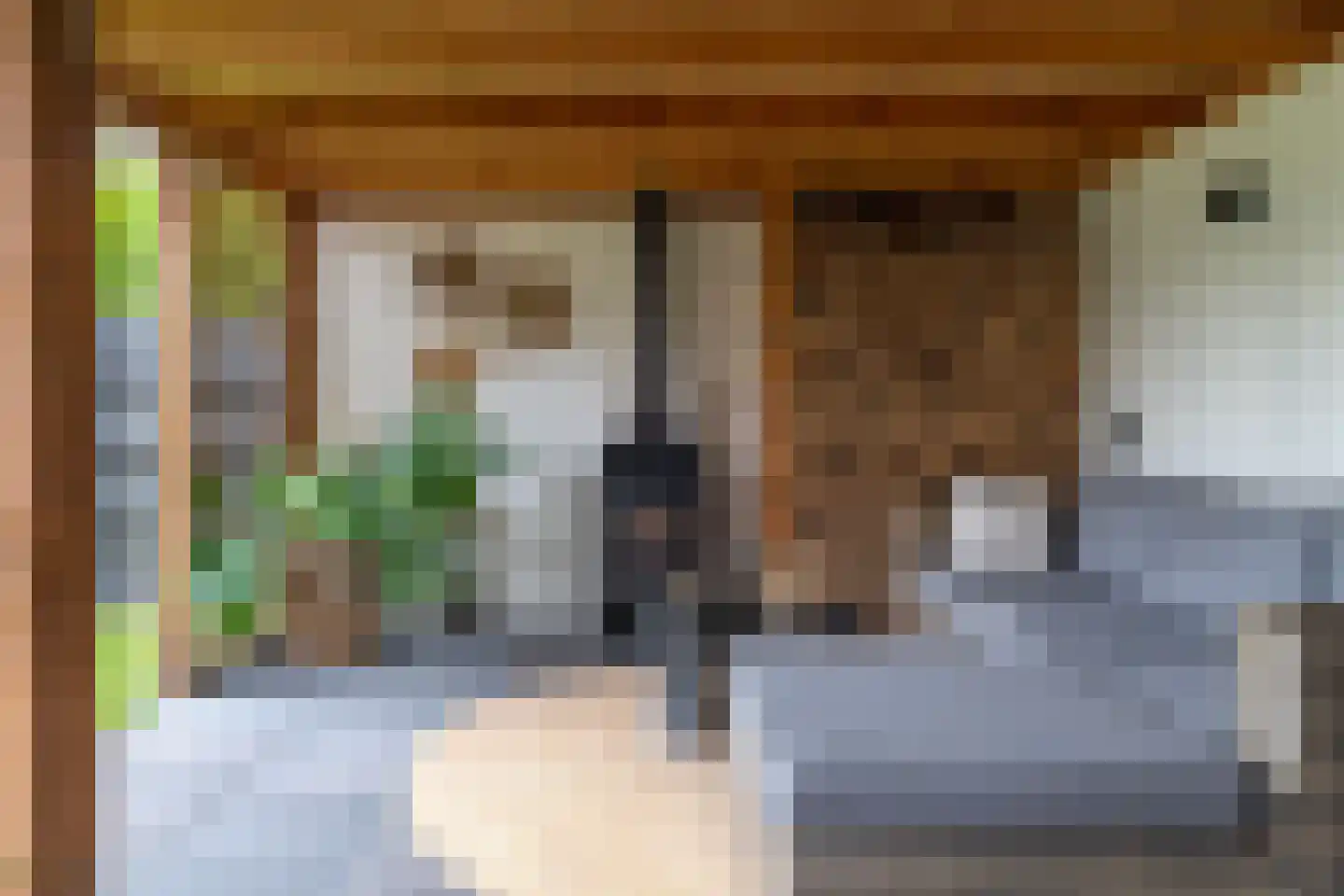Brongersmastrjitte 1 De Westereen thumbnail 32