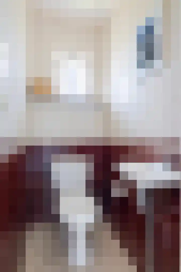 Brongersmastrjitte 4 De Westereen thumbnail 12