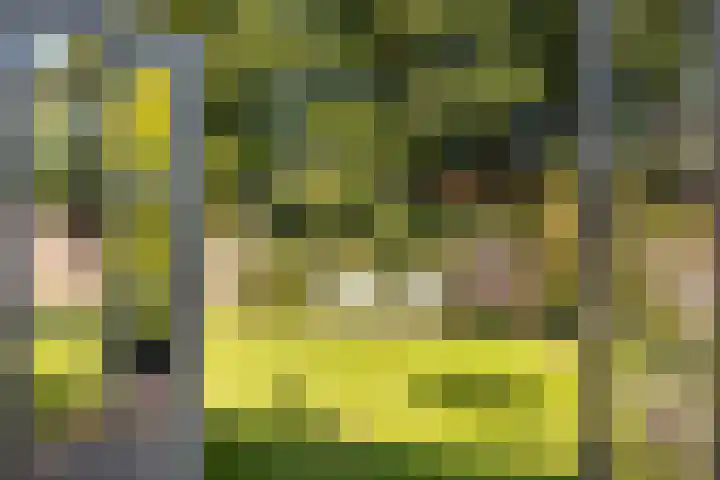 Brongersmastrjitte 4 De Westereen thumbnail 24