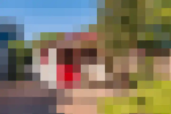 Brongersmastrjitte 4 De Westereen thumbnail 25