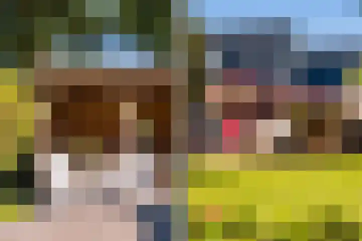 Brongersmastrjitte 4 De Westereen thumbnail 27