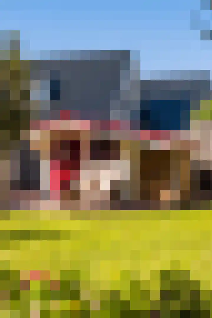 Brongersmastrjitte 4 De Westereen thumbnail 28