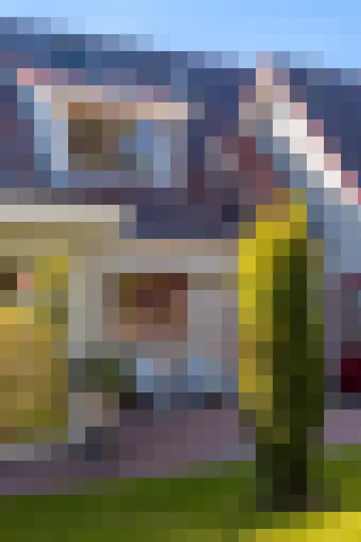 Brongersmastrjitte 4 De Westereen thumbnail 29
