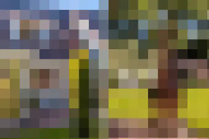 Brongersmastrjitte 4 De Westereen thumbnail 30