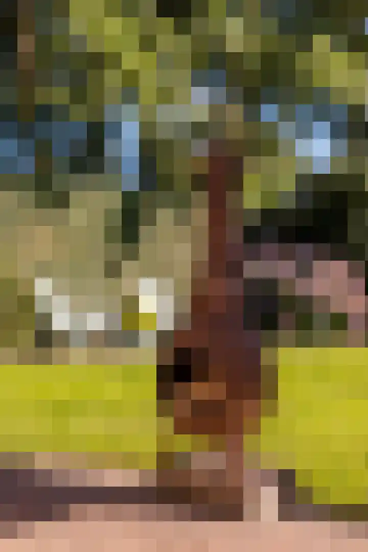 Brongersmastrjitte 4 De Westereen thumbnail 31