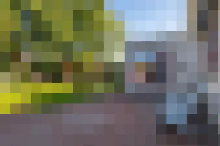 Brongersmastrjitte 4 De Westereen thumbnail 32