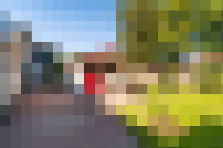 Brongersmastrjitte 4 De Westereen thumbnail 33