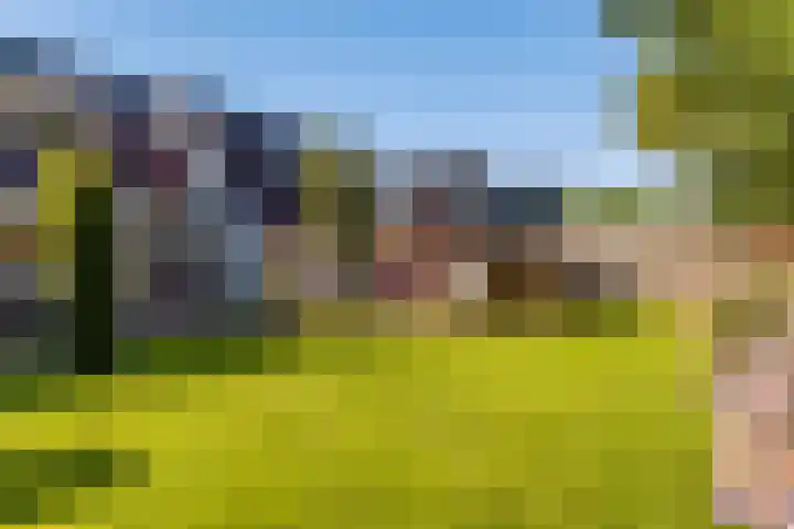 Brongersmastrjitte 4 De Westereen thumbnail 35