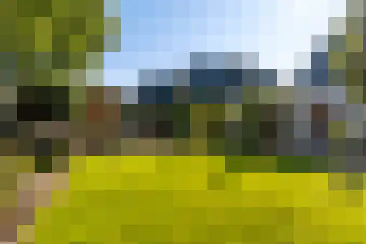 Brongersmastrjitte 4 De Westereen thumbnail 36