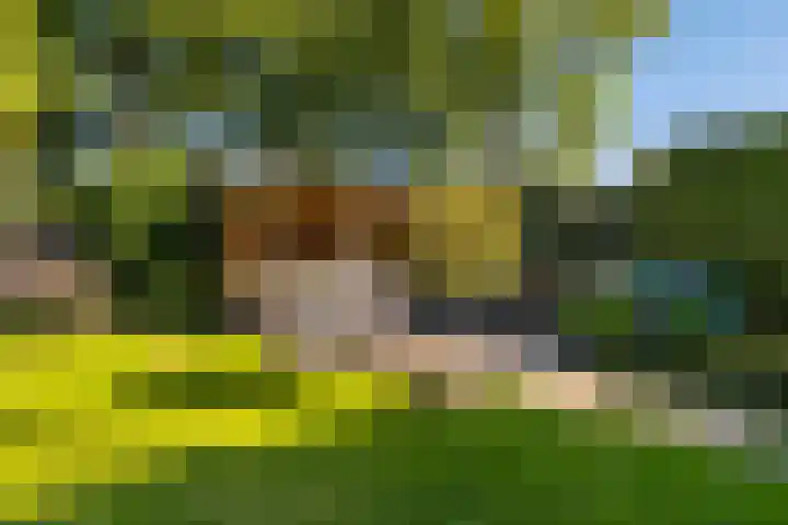 Brongersmastrjitte 4 De Westereen thumbnail 37