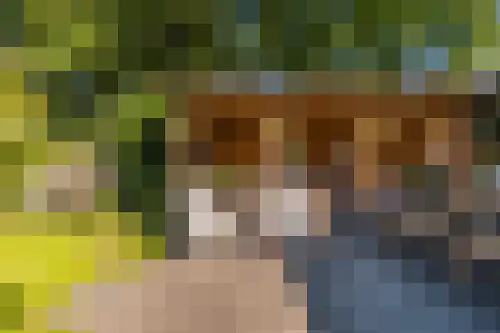 Brongersmastrjitte 4 De Westereen thumbnail 38