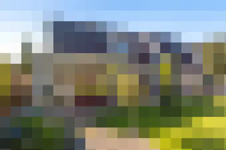 Brongersmastrjitte 4 De Westereen thumbnail 40