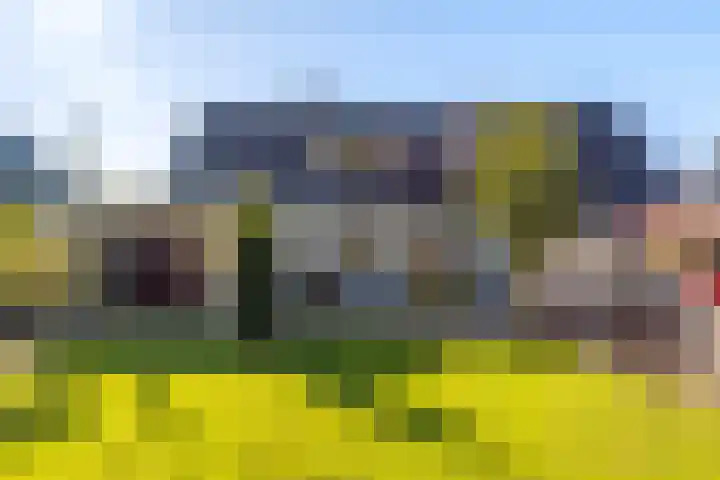 Brongersmastrjitte 4 De Westereen thumbnail 41