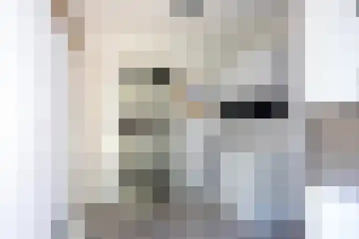 Brongersmastrjitte 4 De Westereen thumbnail 42