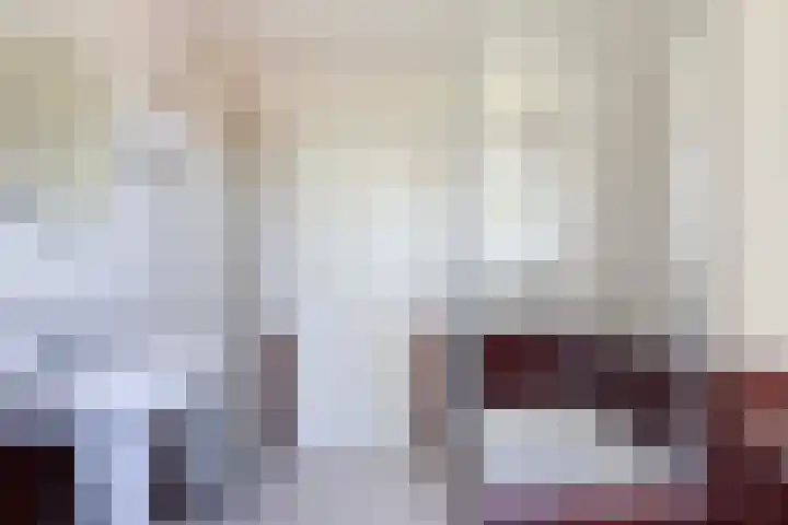 Brongersmastrjitte 4 De Westereen thumbnail 52