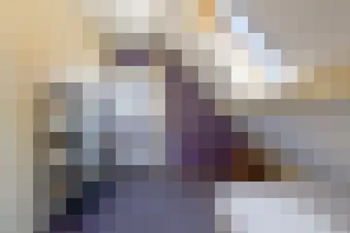 Brongersmastrjitte 4 De Westereen thumbnail 58
