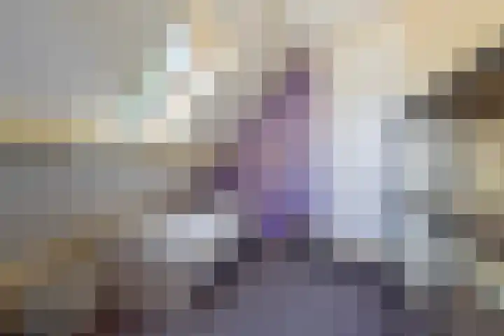 Brongersmastrjitte 4 De Westereen thumbnail 59