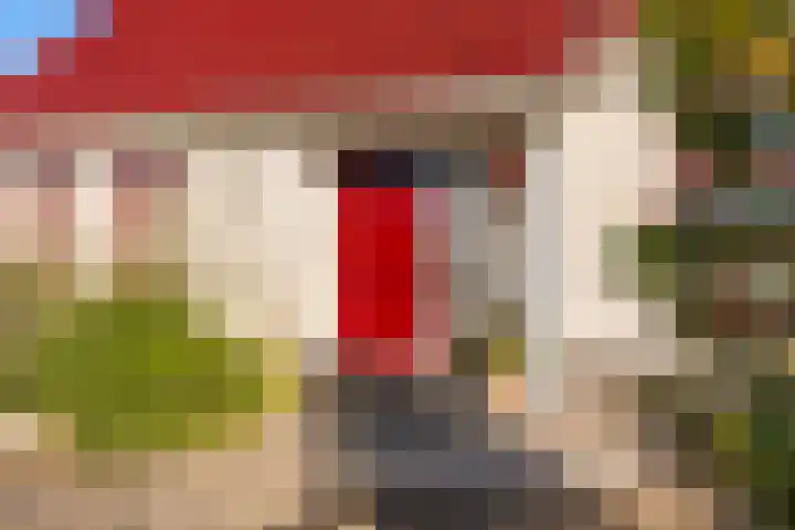 Brongersmastrjitte 4 De Westereen thumbnail 6