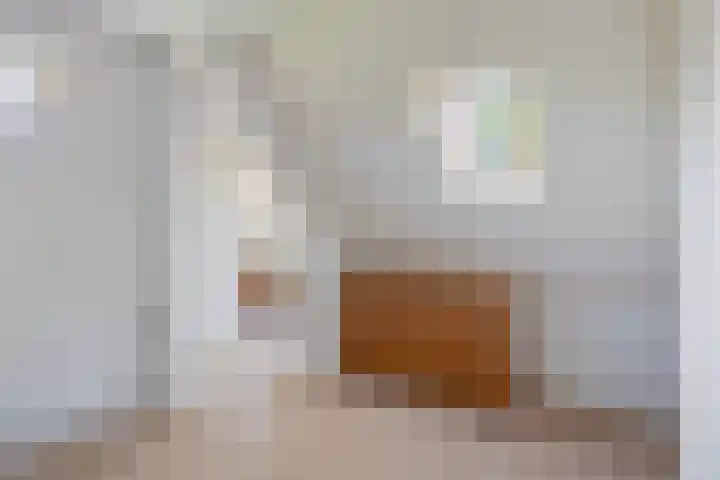 Brongersmastrjitte 4 De Westereen thumbnail 61