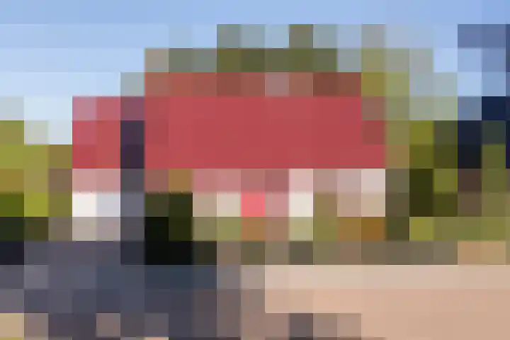 Brongersmastrjitte 4 De Westereen thumbnail 63