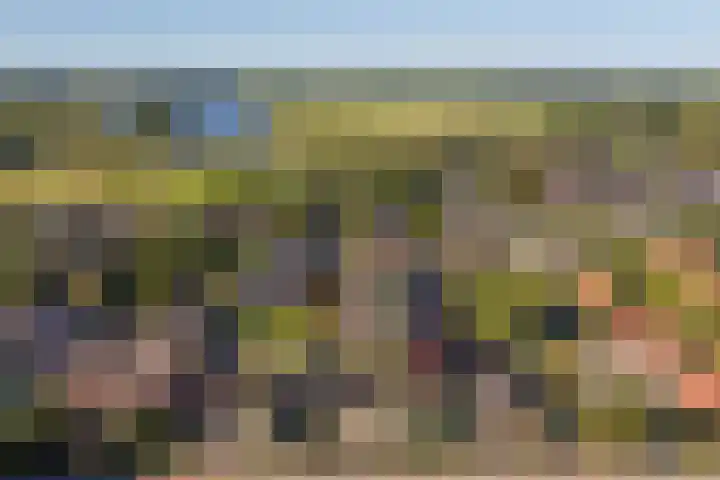 Brongersmastrjitte 4 De Westereen thumbnail 64