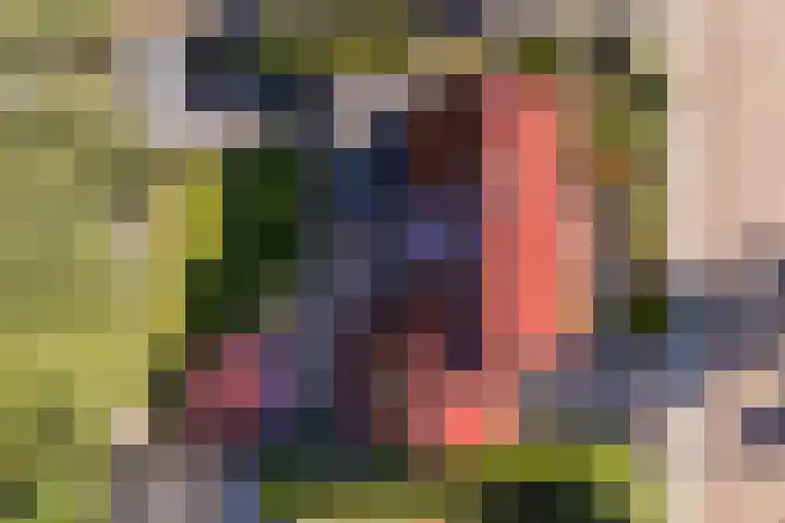 Brongersmastrjitte 4 De Westereen thumbnail 66
