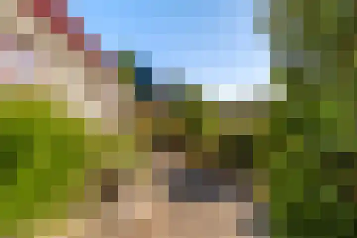 Brongersmastrjitte 4 De Westereen thumbnail 7