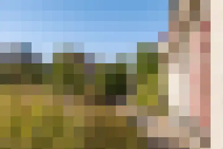 Brongersmastrjitte 4 De Westereen thumbnail 8