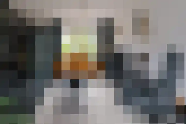 Brongouw 138 Almere thumbnail 15