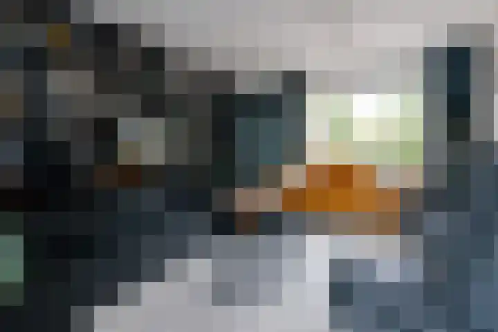 Brongouw 138 Almere thumbnail 16