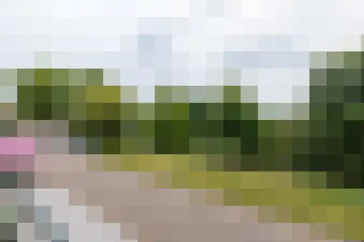 Brongouw 138 Almere thumbnail 19
