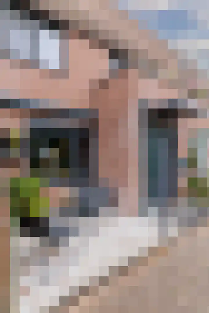 Brongouw 138 Almere thumbnail 4