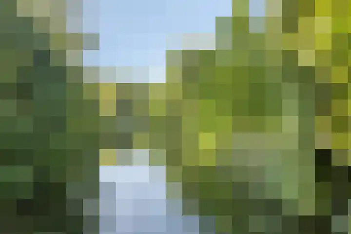 Brongouw 60 B Almere thumbnail 25