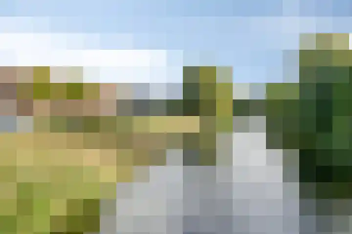 Brongouw 60 B Almere thumbnail 26