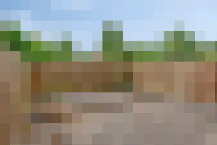 Bronkhorst 18 Oosterhout thumbnail 23
