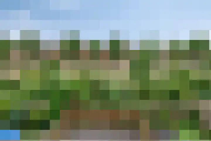 Bronkhorst 18 Oosterhout thumbnail 33