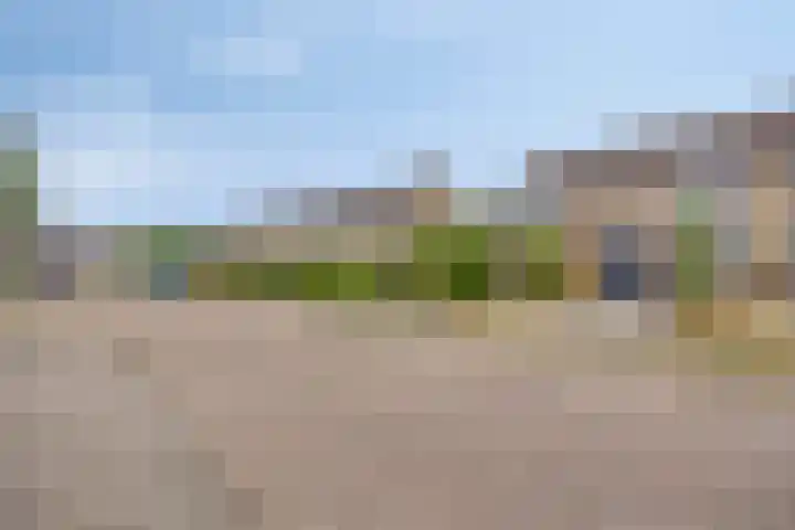 Bronkhorst 18 Oosterhout thumbnail 46