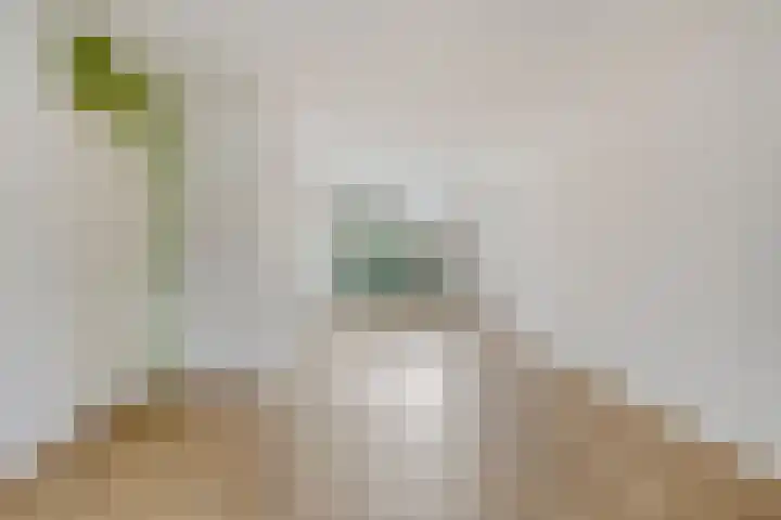 Bronkhorst 30 Oosterhout thumbnail 12