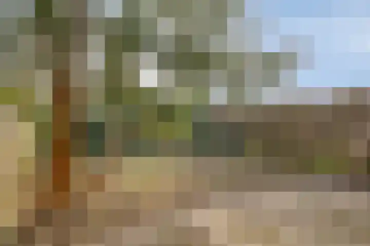 Bronkhorst 30 Oosterhout thumbnail 18
