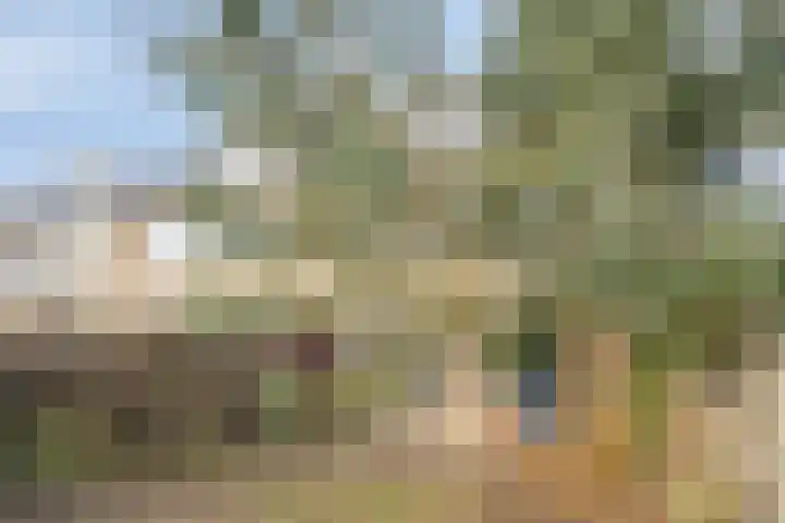 Bronkhorst 30 Oosterhout thumbnail 19