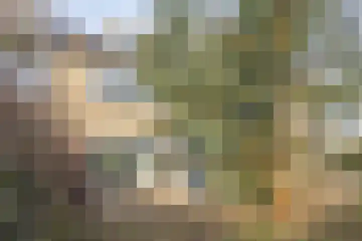 Bronkhorst 30 Oosterhout thumbnail 20