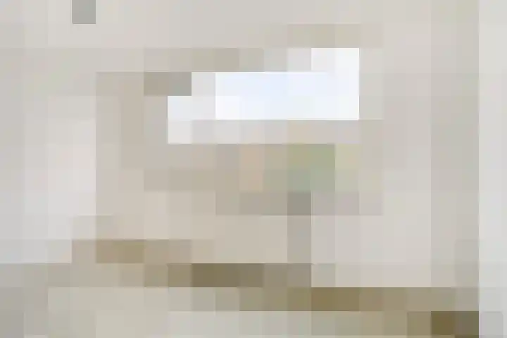 Bronkhorst 30 Oosterhout thumbnail 23