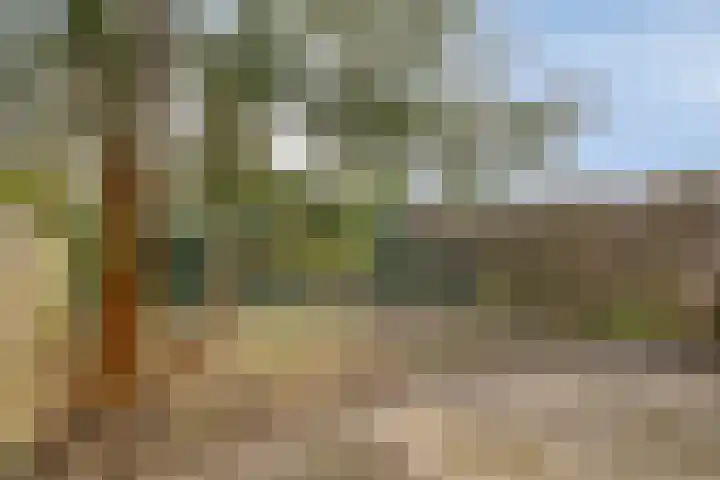 Bronkhorst 30 Oosterhout thumbnail 5