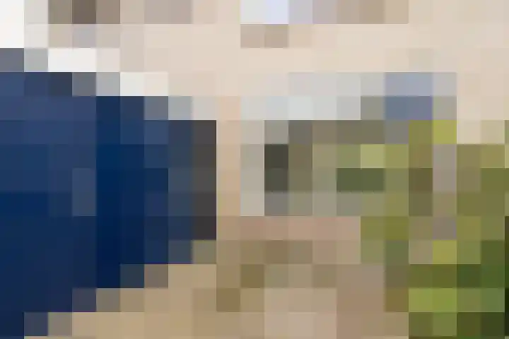 Bronkhorst 30 Oosterhout thumbnail 8