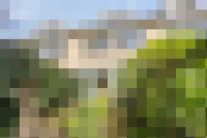 Bronkhorst 4 Oosterhout thumbnail 17