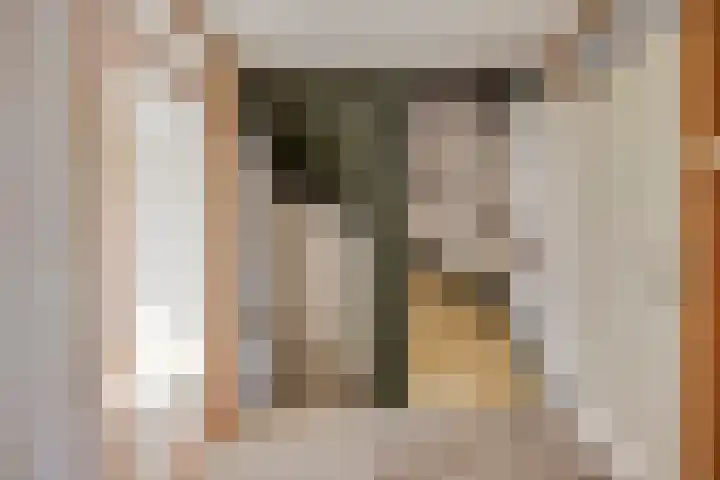 Bronkhorst 4 Oosterhout thumbnail 18